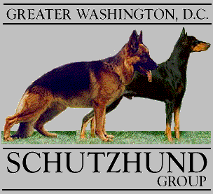 [Company Logo Image]